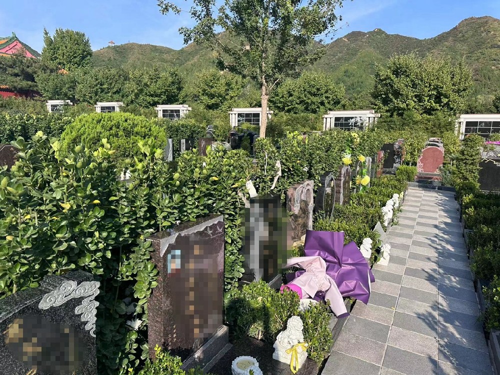 家和园-画景苑