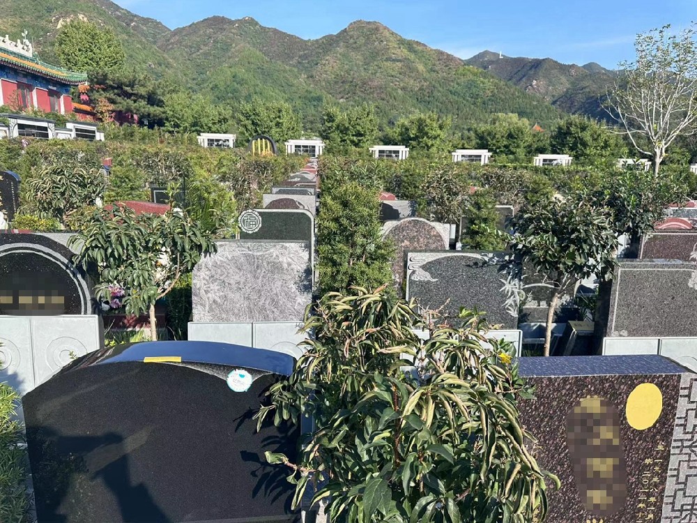 家和园-嘉瑞苑