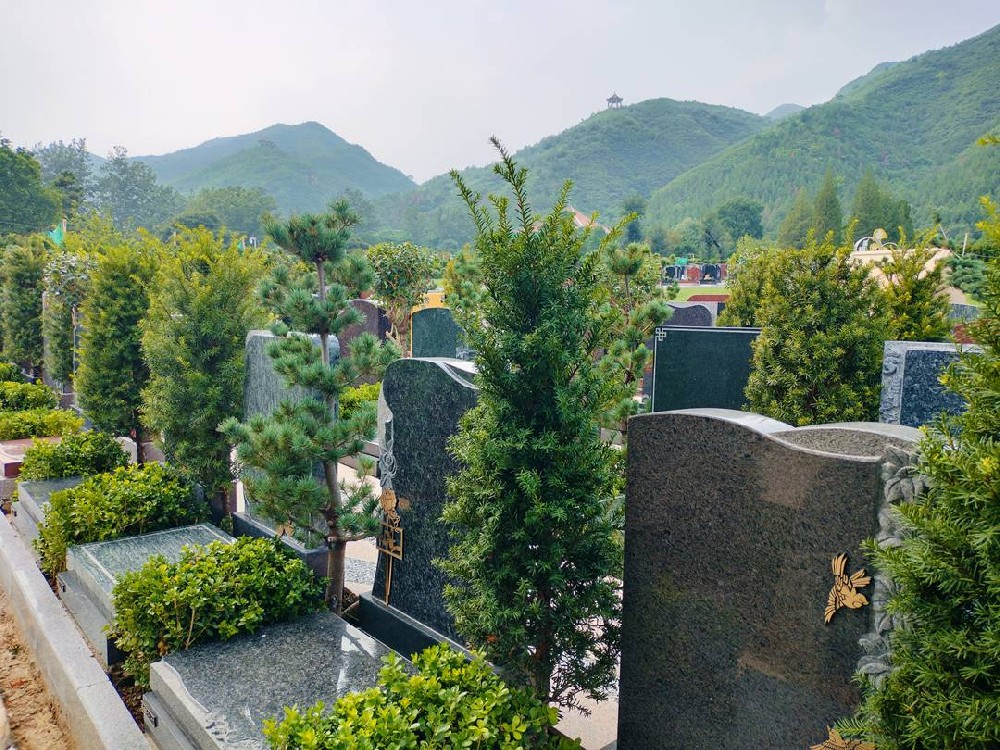 圣福园